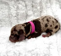 processed/cd68d00d-eadb-4839-b374-d44629e4baa8/listing/a1d66a14-fae3-41e6-922f-9ade7754251e/6d3fc60d-4f53-43be-a46c-379b570217ff