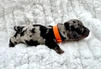 processed/cd68d00d-eadb-4839-b374-d44629e4baa8/listing/bd6e55fe-c201-4ea9-8770-e58fd09e943f/0d9b0522-01d8-4721-ada7-64db7aa519a1