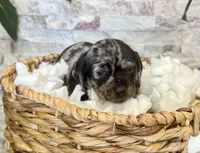 processed/cd68d00d-eadb-4839-b374-d44629e4baa8/listing/bd6e55fe-c201-4ea9-8770-e58fd09e943f/7bf20229-99d3-4db4-84ba-028b15c18c34