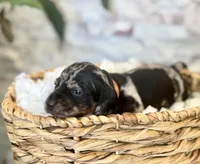 processed/cd68d00d-eadb-4839-b374-d44629e4baa8/listing/bd6e55fe-c201-4ea9-8770-e58fd09e943f/da624d08-fdd5-4446-b523-d298e897f39c