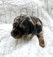 processed/cd68d00d-eadb-4839-b374-d44629e4baa8/listing/bd6e55fe-c201-4ea9-8770-e58fd09e943f/ecc66c41-d61b-48c4-83b7-f11d248912d4