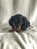 processed/cd6c2d27-9868-489a-80d3-b3726a59acc7/listing/85ecb98b-980e-49b1-8f12-1447c2cd1948/110a9118-42f7-4f8e-ae0f-3db2b3cb6bce