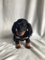 processed/cd6c2d27-9868-489a-80d3-b3726a59acc7/listing/85ecb98b-980e-49b1-8f12-1447c2cd1948/208fcc4f-d79d-4619-9e21-cf4c5de647e7