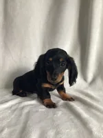 processed/cd6c2d27-9868-489a-80d3-b3726a59acc7/listing/85ecb98b-980e-49b1-8f12-1447c2cd1948/78c18890-69b0-466c-be91-2230d52e0c1d