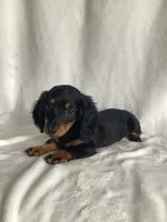 processed/cd6c2d27-9868-489a-80d3-b3726a59acc7/listing/85ecb98b-980e-49b1-8f12-1447c2cd1948/9d6771a8-60e8-4af7-a56d-2acf54f1a7e5