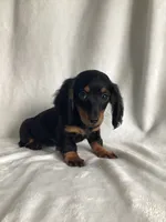 processed/cd6c2d27-9868-489a-80d3-b3726a59acc7/listing/85ecb98b-980e-49b1-8f12-1447c2cd1948/df256c40-e248-4b9d-86d9-4ff2e14e19b1