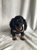 processed/cd6c2d27-9868-489a-80d3-b3726a59acc7/listing/85ecb98b-980e-49b1-8f12-1447c2cd1948/ebda0687-64e1-4946-a487-5798eaed929b