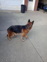 processed/cd6d088d-b29d-414f-95dc-7680775177bb/listing/26861ee5-c767-46b8-a7c8-4351a37d4872/0688ebf7-e457-4236-81d4-ed7188d5e149