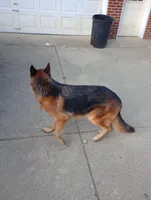 processed/cd6d088d-b29d-414f-95dc-7680775177bb/listing/26861ee5-c767-46b8-a7c8-4351a37d4872/4b4dcb66-f2ca-41a4-b870-2102c167f8dd