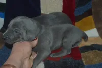 processed/cd879359-c954-41b2-87a7-7854c3187ec3/listing/06a4dbe4-9c66-4c5c-92f6-9d5340263e39/3ca31bc7-9eaa-4c46-b093-23b0799abf25