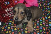 processed/cd879359-c954-41b2-87a7-7854c3187ec3/listing/0ef81a47-7fe8-4b68-99cf-16f679d85244/299be4a4-8833-4ae3-a588-2252958e688b