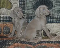 processed/cd879359-c954-41b2-87a7-7854c3187ec3/listing/43c41cdc-485f-4cd2-909c-b8acf199b5e7/ab993ab7-4673-4a16-8e19-1632c8ba6d7f