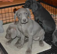 processed/cd879359-c954-41b2-87a7-7854c3187ec3/listing/43c41cdc-485f-4cd2-909c-b8acf199b5e7/bb6ebfe6-fbb8-4c8d-9f5d-7b18c0af6611