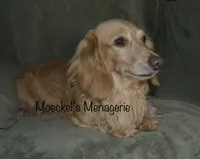 processed/cd879359-c954-41b2-87a7-7854c3187ec3/listing/565eea69-ce76-411c-868a-9de72c1d9e7b/6095fc41-d7b5-4067-9b4d-688403ef0397