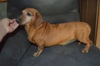 processed/cd879359-c954-41b2-87a7-7854c3187ec3/listing/843603ae-6dfb-4535-83aa-813ca96222b0/16789cdd-5232-4e1d-b4f1-e60732c4d80e