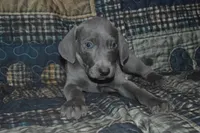 processed/cd879359-c954-41b2-87a7-7854c3187ec3/listing/9a71ab8a-b60e-4549-8cf4-968bbfaeb055/19219895-52db-49e6-b34e-7eb972b561c2