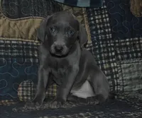 processed/cd879359-c954-41b2-87a7-7854c3187ec3/listing/9a71ab8a-b60e-4549-8cf4-968bbfaeb055/460d6ae0-39d4-439d-a480-9a7c0bf442ca