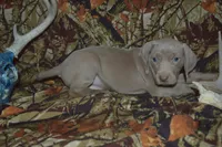 processed/cd879359-c954-41b2-87a7-7854c3187ec3/listing/c4c1c0f6-dc00-4474-a2dc-1e02f121e985/4284086d-c634-4a88-a1ff-6901870cc5f6