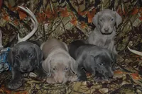 processed/cd879359-c954-41b2-87a7-7854c3187ec3/listing/c4c1c0f6-dc00-4474-a2dc-1e02f121e985/490196ab-fde8-4f4a-983d-9870da96553c