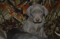 processed/cd879359-c954-41b2-87a7-7854c3187ec3/listing/c4c1c0f6-dc00-4474-a2dc-1e02f121e985/a0b2baf0-9e5b-464b-b039-c349fc98584a