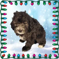 processed/cd8dcd54-b16c-4d5d-8819-19348f74ca5e/listing/3c10fef8-389c-44e9-a2cf-d9ad99148c8d/86529dc2-d368-4082-bf97-3c2300310e39