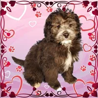 processed/cd8dcd54-b16c-4d5d-8819-19348f74ca5e/listing/3c10fef8-389c-44e9-a2cf-d9ad99148c8d/888f3dc5-4db5-4176-86a0-6952ee919f8e