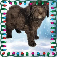 processed/cd8dcd54-b16c-4d5d-8819-19348f74ca5e/listing/8813287b-c9e2-4e60-aa2c-376687be024f/0899c91d-184a-4d60-a77f-bacd5ac353a5