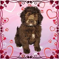 processed/cd8dcd54-b16c-4d5d-8819-19348f74ca5e/listing/8813287b-c9e2-4e60-aa2c-376687be024f/434e7656-b237-4f11-a676-ed41032b6bd9