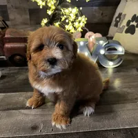 processed/cd9078fa-a14a-4ce1-b90f-f65ed4d9feb3/facility/429cc1fb-049a-4a36-94d6-8bea762d0a5b