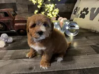 processed/cd9078fa-a14a-4ce1-b90f-f65ed4d9feb3/facility/429cc1fb-049a-4a36-94d6-8bea762d0a5b