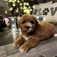 processed/cd9078fa-a14a-4ce1-b90f-f65ed4d9feb3/facility/b2588b82-4604-40fc-a0d2-9a82227be2e7