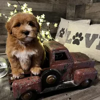 processed/cd9078fa-a14a-4ce1-b90f-f65ed4d9feb3/facility/fad7836b-cee6-4b98-9b93-808ab5f558a5