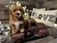 processed/cd9078fa-a14a-4ce1-b90f-f65ed4d9feb3/facility/fad7836b-cee6-4b98-9b93-808ab5f558a5