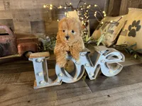 Bella, a female Maltipoo for sale in San Antonio, TX – 2 of 7