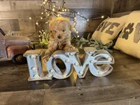 Aurora , a female Maltipoo for sale in San Antonio, TX – Photo 8 of 8