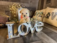 Luna, a female Maltipoo for sale in San Antonio, TX – 6 of 6