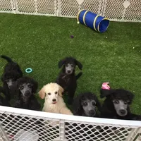 processed/cd9da101-63fe-4e37-aaf0-472be7c5188f/facility/081f1b99-fd47-492e-a060-963107d7d0a3