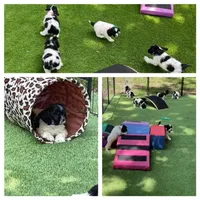 processed/cd9da101-63fe-4e37-aaf0-472be7c5188f/facility/fd9869f3-ed0d-475c-8526-c0dd60189e1c