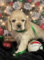 processed/cd9da101-63fe-4e37-aaf0-472be7c5188f/listing/d7f88977-f0ce-46c4-b2b2-de92e838bf9c/23caaf1e-6fdb-40bf-9d0d-dbc066d085d1