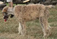 processed/cda2c97c-1fc5-4401-b6f9-d36c1038657b/listing/df7b799c-a00f-4c92-b916-e20aa28f3b75/056a874c-c187-4446-995e-753dd92c6fab