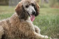 processed/cda2c97c-1fc5-4401-b6f9-d36c1038657b/listing/df7b799c-a00f-4c92-b916-e20aa28f3b75/26fdb055-48ff-4935-b035-8c2577bd3d70