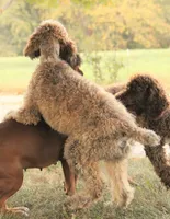 processed/cda2c97c-1fc5-4401-b6f9-d36c1038657b/listing/df7b799c-a00f-4c92-b916-e20aa28f3b75/39b269c0-2d42-4532-a077-723da3f6847b