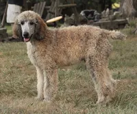 processed/cda2c97c-1fc5-4401-b6f9-d36c1038657b/listing/df7b799c-a00f-4c92-b916-e20aa28f3b75/5a88c3a5-2c24-449f-9bcc-2a785f7a81d4