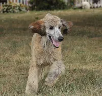 processed/cda2c97c-1fc5-4401-b6f9-d36c1038657b/listing/df7b799c-a00f-4c92-b916-e20aa28f3b75/5e6f9b2c-69e7-4a20-8537-5e1422bb072e