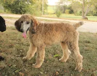 processed/cda2c97c-1fc5-4401-b6f9-d36c1038657b/listing/df7b799c-a00f-4c92-b916-e20aa28f3b75/74c70f55-bcbd-48d3-9364-7d82771f30e8