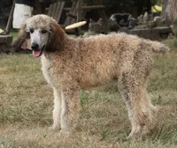 processed/cda2c97c-1fc5-4401-b6f9-d36c1038657b/listing/df7b799c-a00f-4c92-b916-e20aa28f3b75/ef0dc085-6042-4aca-b492-6f70b4a88e02