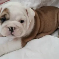 processed/cda464c1-2b7f-42da-86a7-c25a66ec1dcd/facility/385fbd67-18bf-4967-b746-c1a4fdd43568