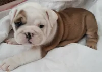 processed/cda464c1-2b7f-42da-86a7-c25a66ec1dcd/facility/385fbd67-18bf-4967-b746-c1a4fdd43568