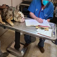 processed/cda464c1-2b7f-42da-86a7-c25a66ec1dcd/facility/38b2d233-e975-4449-baaa-236cded6549a