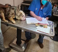 processed/cda464c1-2b7f-42da-86a7-c25a66ec1dcd/facility/38b2d233-e975-4449-baaa-236cded6549a